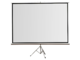 SCREENLINE - 