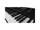 KORG - Arranger Professionale 76 tasti