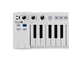 ARTURIA - 