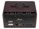 IBANEZ - Amplificatore per chitarra acustica 30w