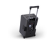 LD SYSTEMS - Sistema PA Bluetooth portatile a batteria da 12