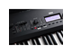 KORG - 
