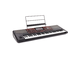 KORG - Tastiera professionale arranger 61 tasti
