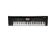 KORG - 