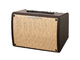 IBANEZ - Amplificatore per chitarra acustica 30w