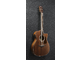 IBANEZ - 