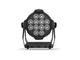 CAMEO - 