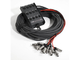 PROEL - 