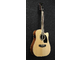 IBANEZ - 
