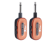 XVIVE - 