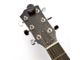 D'ADDARIO - 