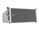 RCF - 