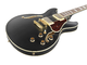 IBANEZ - 
