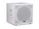 FBT - Subwoofer 18