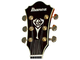 IBANEZ - 