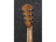 IBANEZ - 