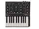 MOOG - SINTETIZZATORE ANALOGICO SEMI-MODULARE 32 TASTI