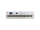 ARTURIA - Midi master keyboard 88 tasti Fatar (TP/110)