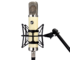 WARM AUDIO - Microfono Professionale da studio Valvolare a Condensatore