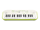 CASIO - 