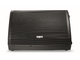 FBT - Monitor passivo coassiale a 2 vie in bass-reflex; altoparlante custom B&C da 12