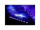 CAMEO - Barra a 12 LED UV da 3 W in alloggiamento nero LED con telecomando IR