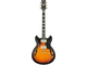 IBANEZ - Case incluso