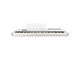 ARTURIA - Midi master keyboard 88 tasti Fatar (TP/110)