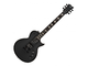 ESP LTD - 