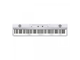 KORG - 