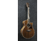 IBANEZ - 