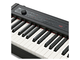 KORG - Piano digitale compatto e portatile 88 tasti