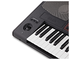 KORG - Tastiera professionale arranger 61 tasti