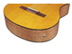 IBANEZ - 
