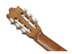 IBANEZ - 