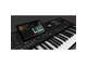KORG - Arranger Professionale 76 tasti