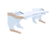 BUSO AUDIO - 