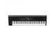 KORG - 