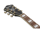 IBANEZ - 