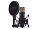 RODE - 
