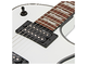 ESP LTD - 