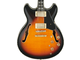 IBANEZ - Case incluso