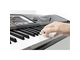 KORG - 