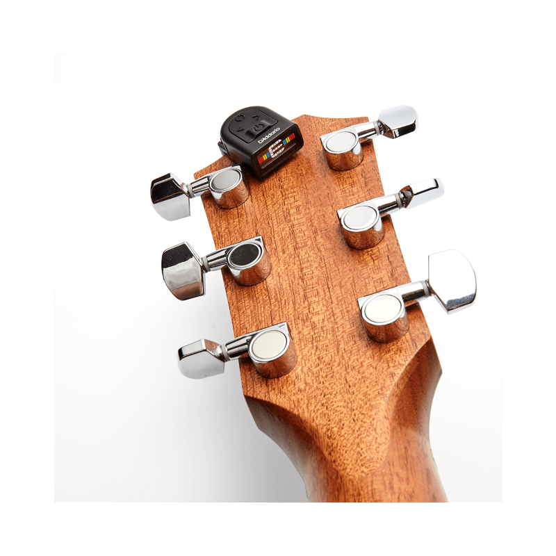 D'ADDARIO - 