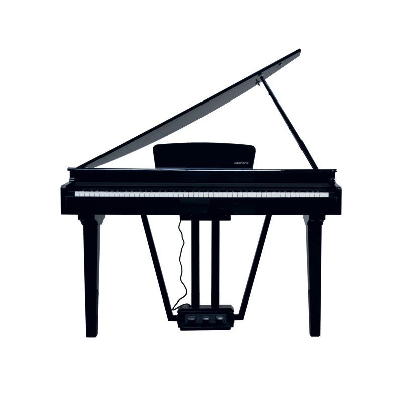 E-Chord - 