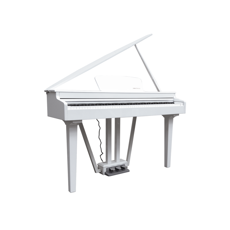 E-Chord - 