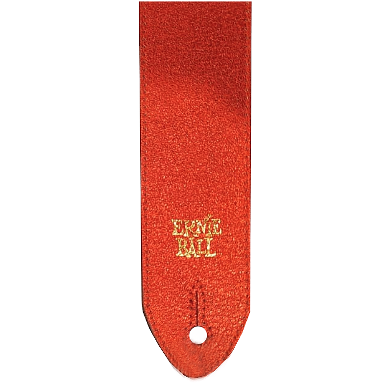 ERNIE BALL - 
