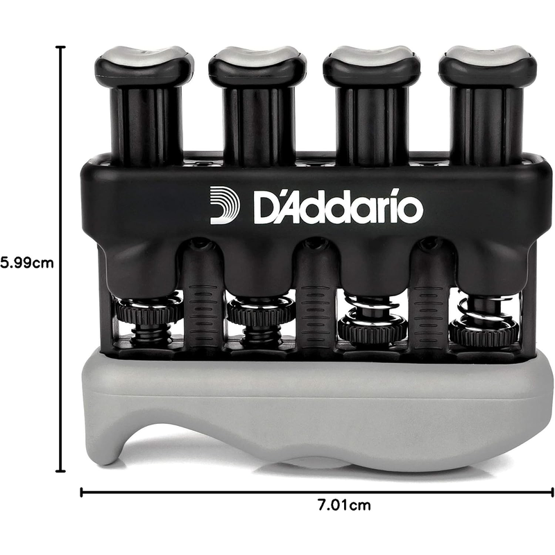 D'ADDARIO - 