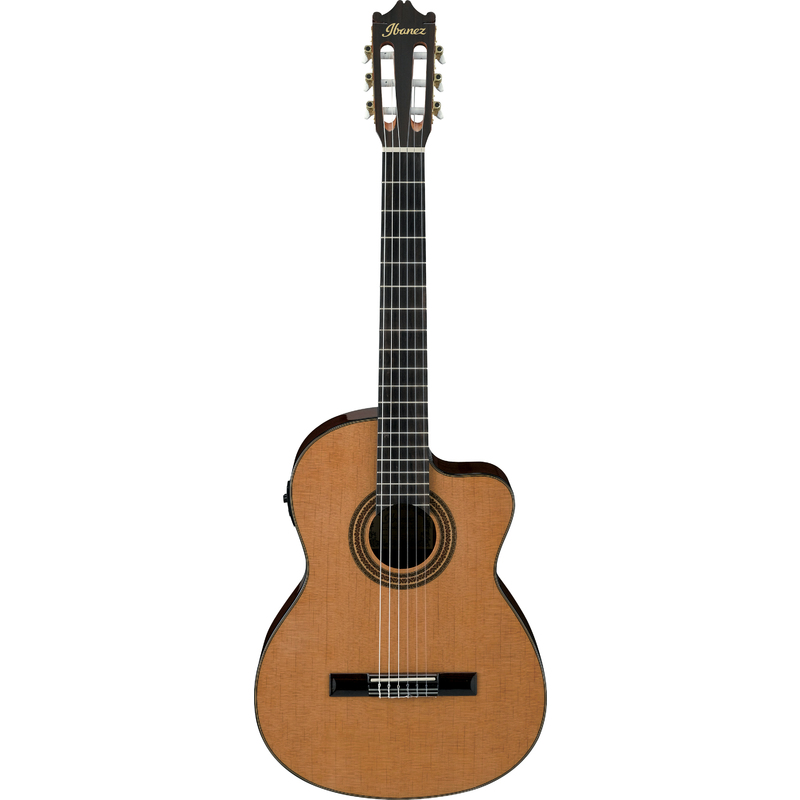IBANEZ - 