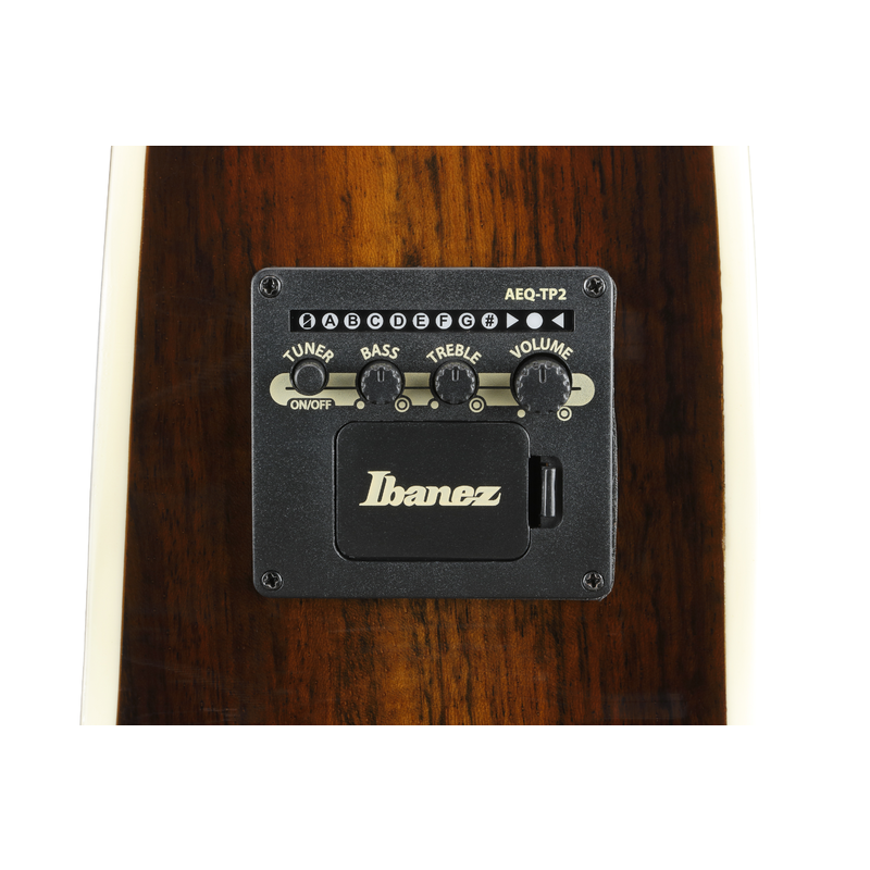 IBANEZ - 